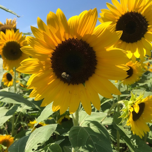 Meet your Posh Ambassador, Michelle!! - Picture 7 of 11